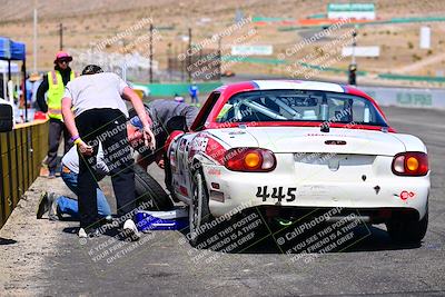media/May-04-2025-Lucky Dog Racing (Sun) [[21629467aa]]/Around the Pits/